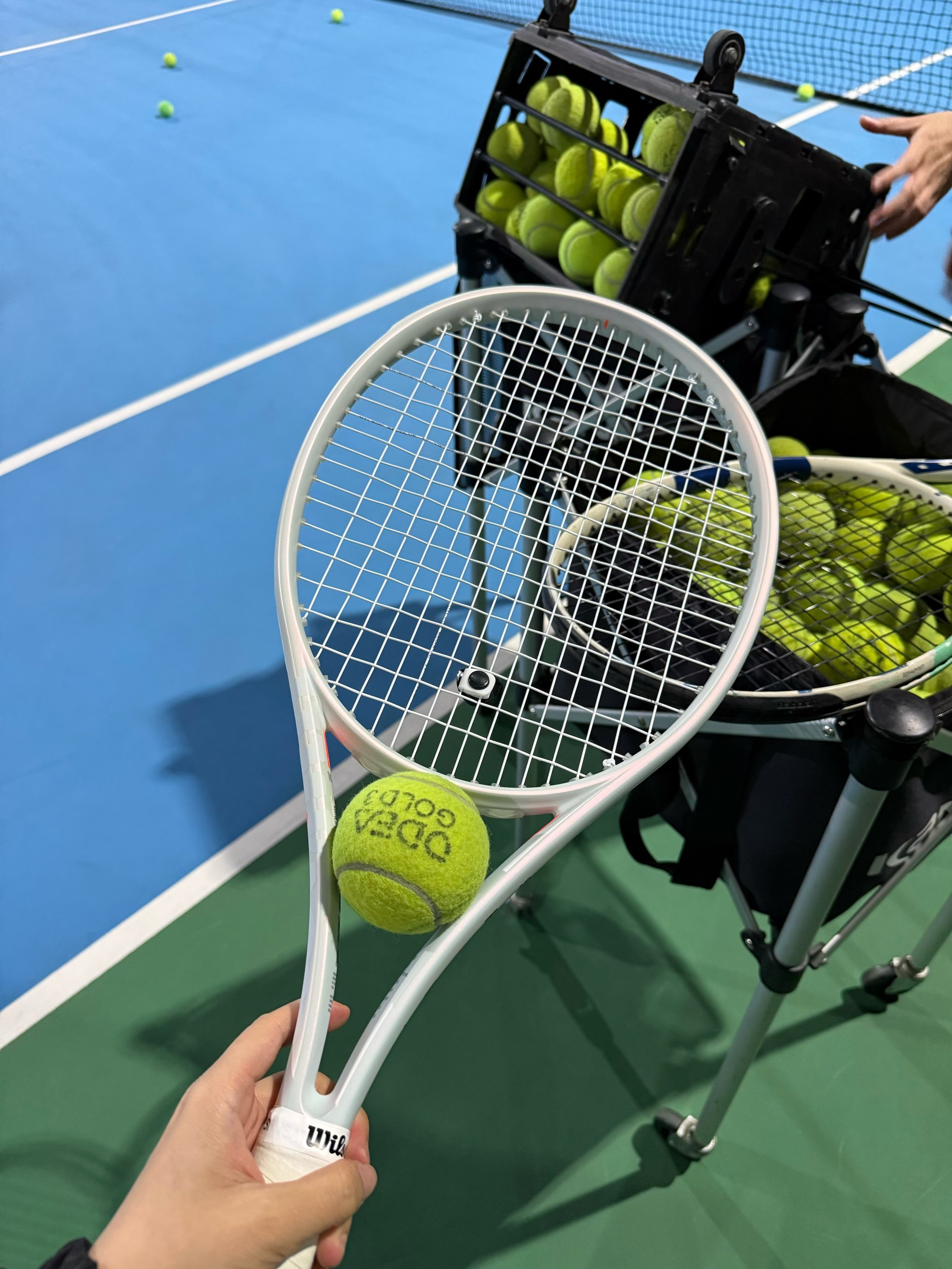 将因为这场 将因为这场